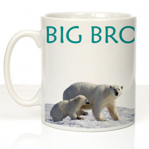 Big Brother Polar Bears Mug